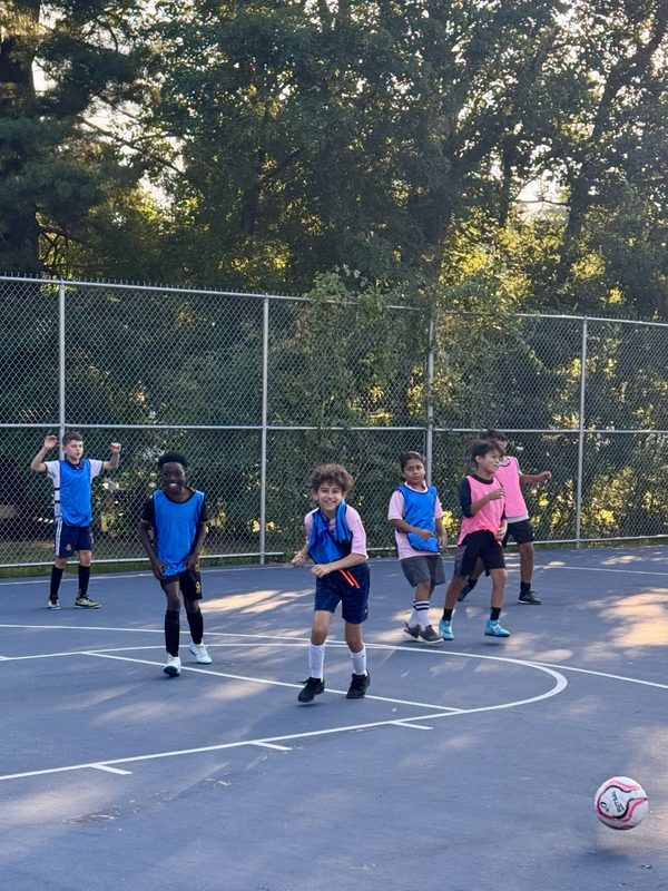 A group of players in pink and blue pinnies celebrating on an outdoor court